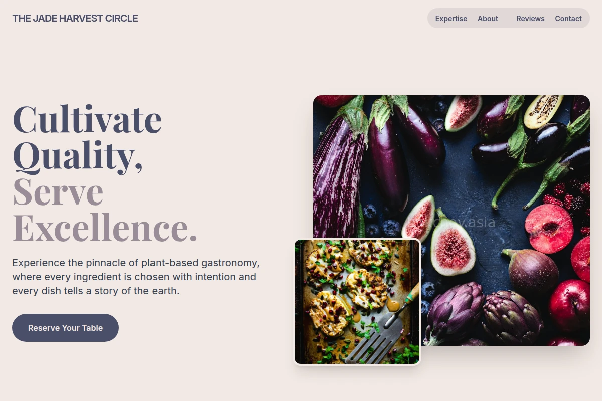 Modern Vegan Food